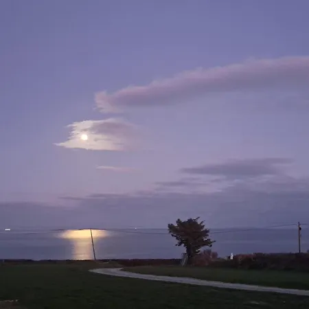 Wood بيت للعطل *