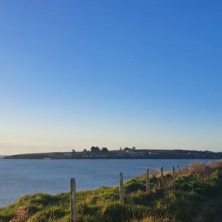 Wood * نيو روس