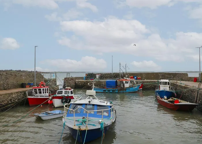 Wood Feriehus New Ross